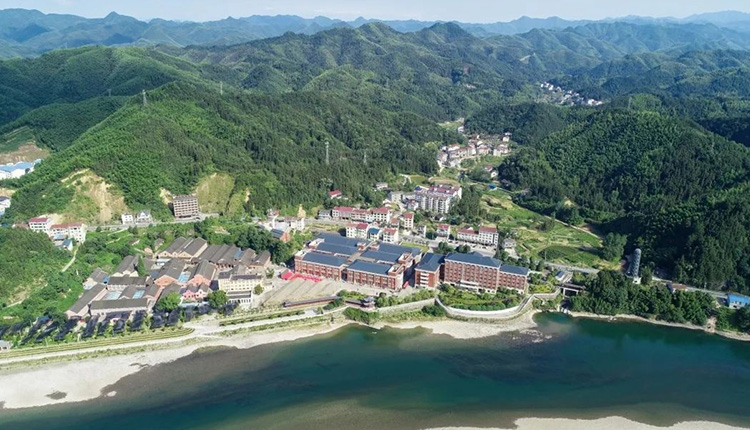 龍珠·安化黑茶 | 山崖水畔 不種自生