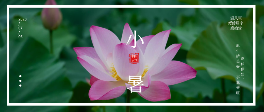 24節(jié)氣丨小暑：夏伏伊始，愿生活美好，事業(yè)盛旺