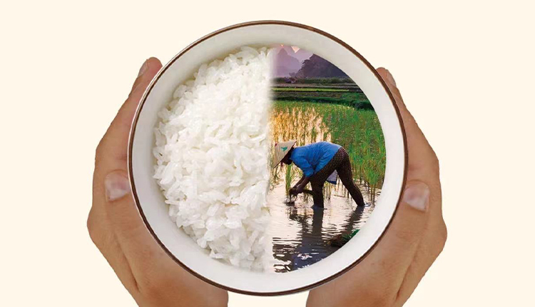 反對食品浪費(fèi)，崇尚節(jié)儉美德
