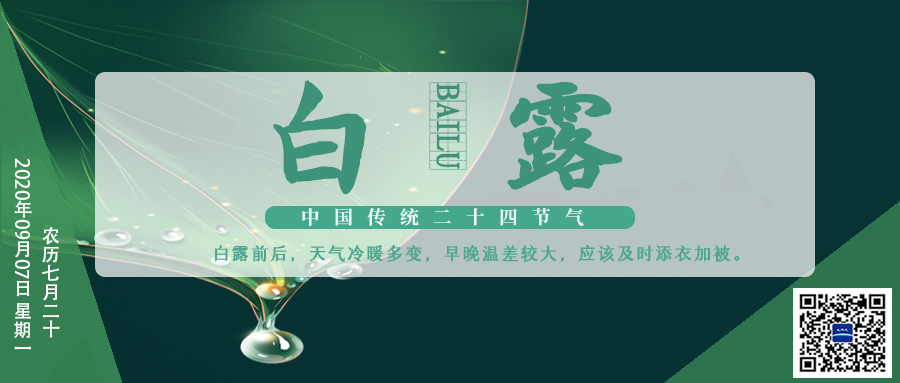 24節(jié)氣丨白露：露從今夜白 葉動涼風(fēng)起