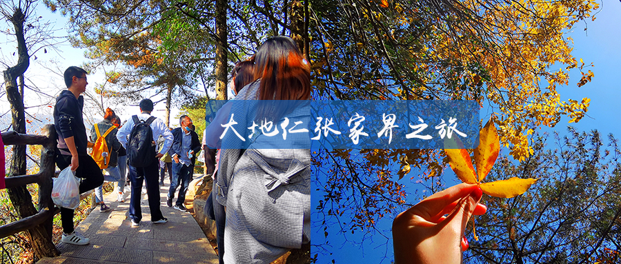 行走張家界，赴一趟養(yǎng)心之旅