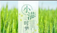 小滿丨晴日暖風(fēng)生麥氣，綠蔭幽草勝花時。