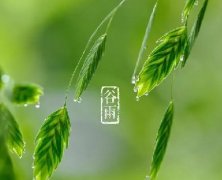 谷雨｜暮春，夏將至。